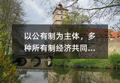 以公有制為主體,多種所有制經濟共同發展