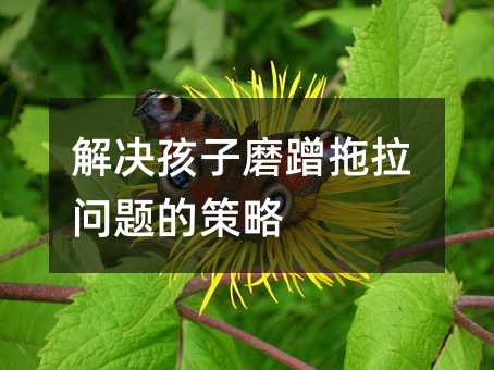 解決孩子磨蹭拖拉問題的策略