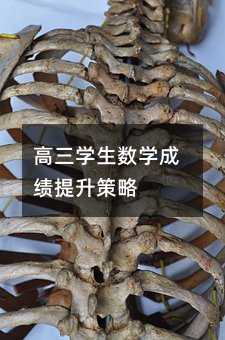 高三學生數學成績提升策略