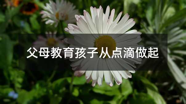 ��ĸ�������ӏ��c������