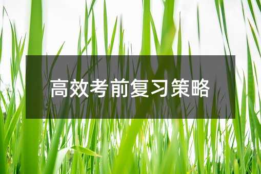 高效考前復(fù)習(xí)策略