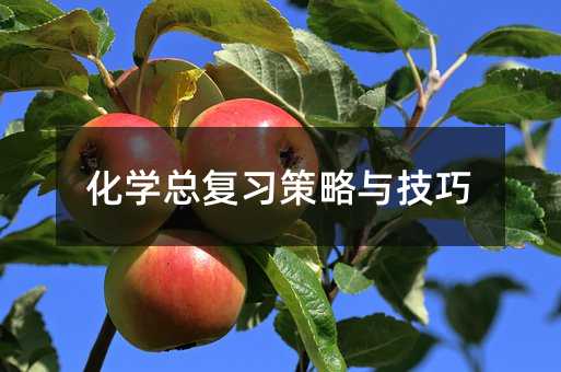 化學(xué)總復(fù)習(xí)策略與技巧