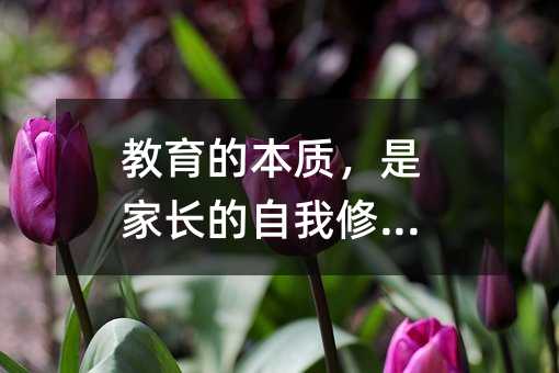 教育的本質,是家長的自我修行!