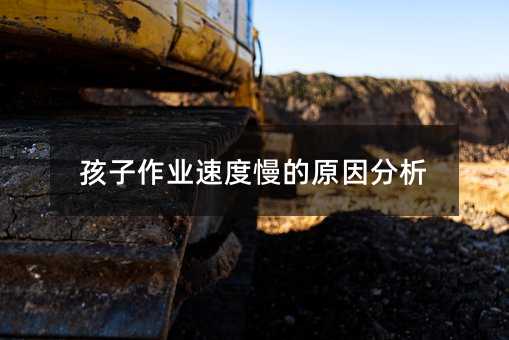 孩子作業速度慢的原因分析