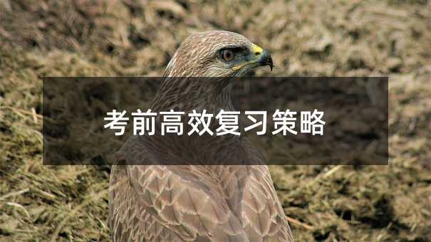 考前高效復習策略