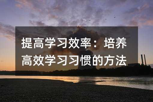 提高學(xué)習(xí)效率:培養(yǎng)高效學(xué)習(xí)習(xí)慣的方法