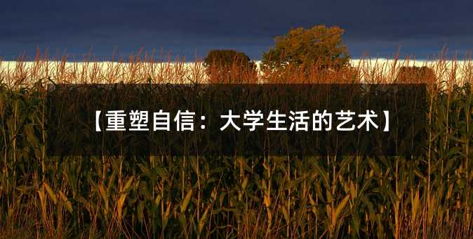 ���������ţ���W�����ˇ�g��