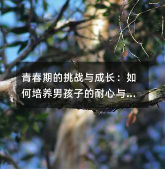 青春期的挑戰與成長:如何培養男孩子的耐心與專注