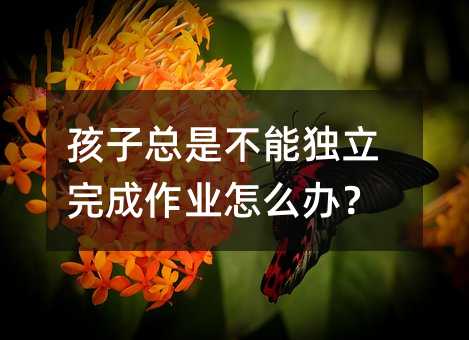 ���ӿ��ǲ��ܪ���������I��ô�k��