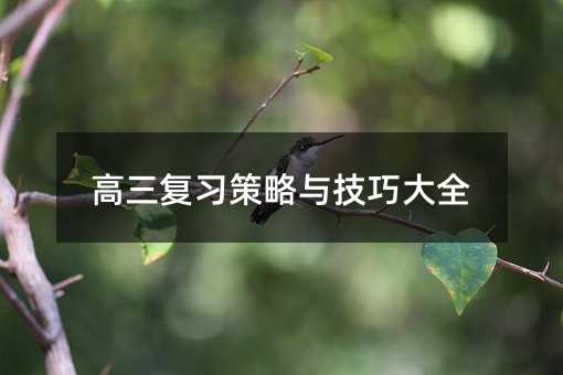 高三復習策略與技巧大全