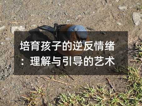 培育孩子的逆反情緒:理解與引導的藝術