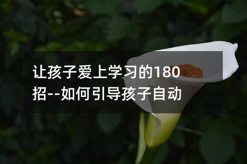 讓孩子愛上學習的180招--如何引導孩子自動自覺