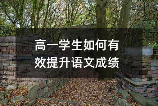 高一學(xué)生如何有效提升語文成績