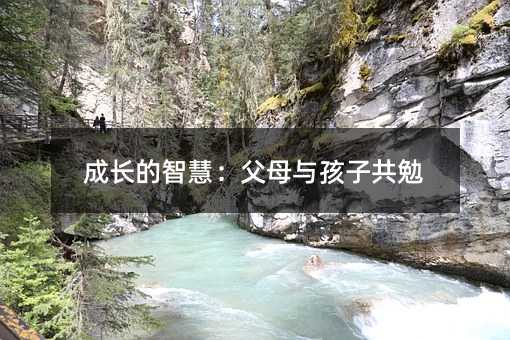 ���L���ǻۣ���ĸ�c���ӹ���