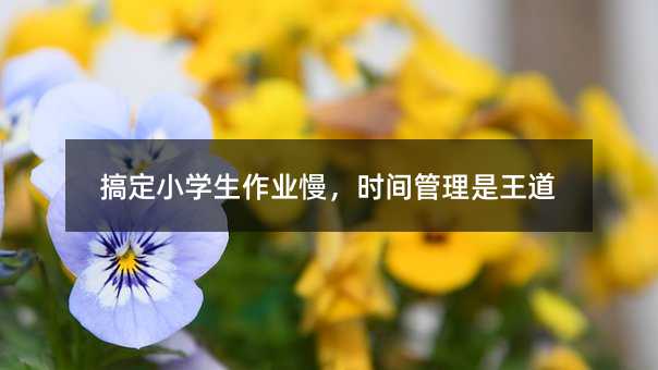 㶨СW(xu)I(y)r(sh)g