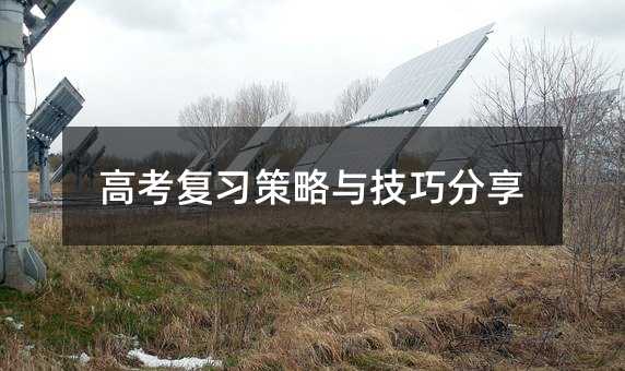 高考復習策略與技巧分享