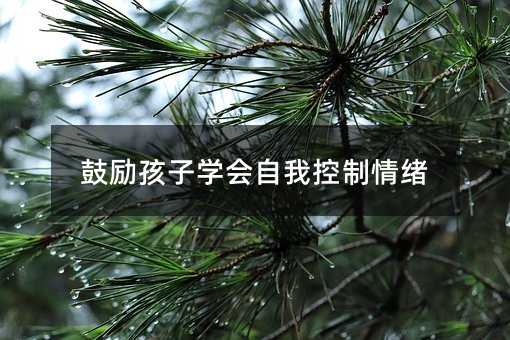 鼓勵孩子學會自我控制情緒