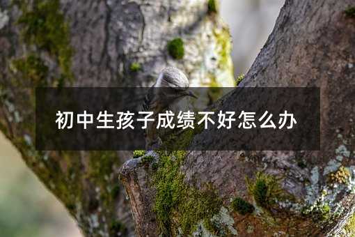 初中生孩子成績不好怎么辦