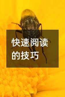 ������x�ļ���