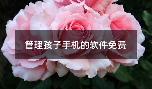 管理孩子手機的軟件免費