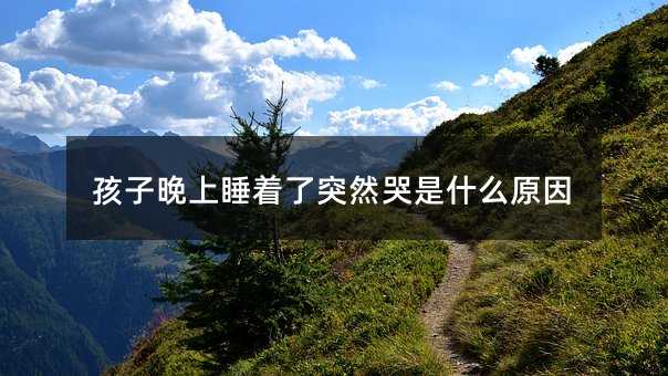 孩子晚上睡著了突然哭是什么原因