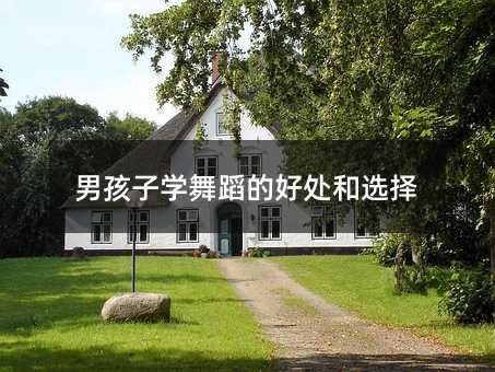 男孩子學舞蹈的好處和選擇