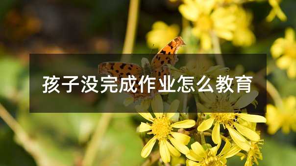 孩子沒完成作業怎么教育