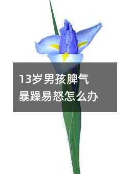 13歲男孩脾氣暴躁易怒怎么辦?
