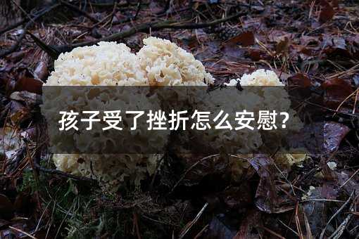 孩子受了挫折怎么安慰?