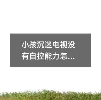 С�������ҕ�]���Կ�������ô�k