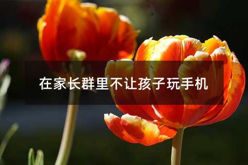 在家長群里不讓孩子玩手機