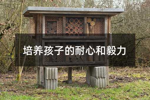 培養孩子的耐心和毅力