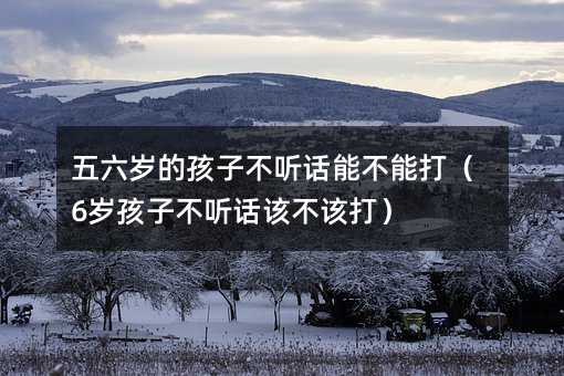 五六歲的孩子不聽話能不能打(6歲孩子不聽話該不該打)