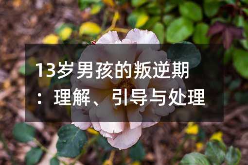 13�q�к��������ڣ����⡢����(d��o)�c̎��