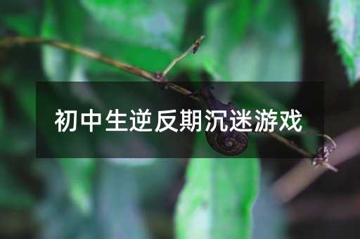 初中生逆反期沉迷游戲