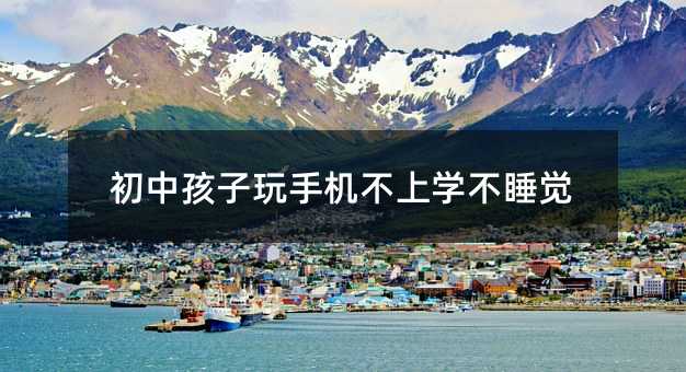 初中孩子玩手機(jī)不上學(xué)不睡覺