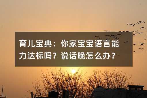 育兒寶典:你家寶寶語(yǔ)言能力達(dá)標(biāo)嗎?說(shuō)話晚怎么辦?
