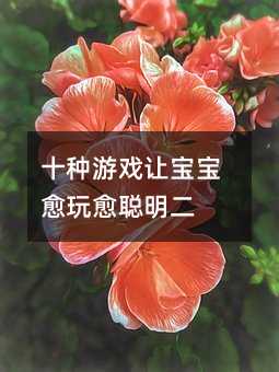 十種游戲讓寶寶愈玩愈聰明二