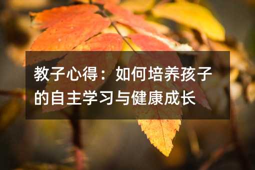 �����ĵã�������B(y��ng)���ӵ������W(xu��)��(x��)�c�������L