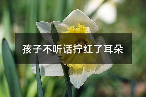孩子不聽話擰紅了耳朵