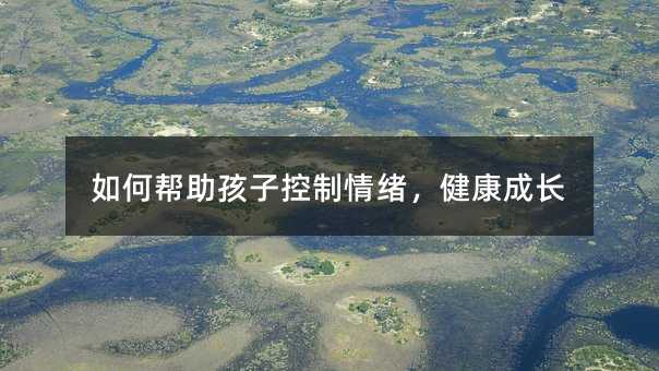 ��Ύ������ӿ�����w���������L