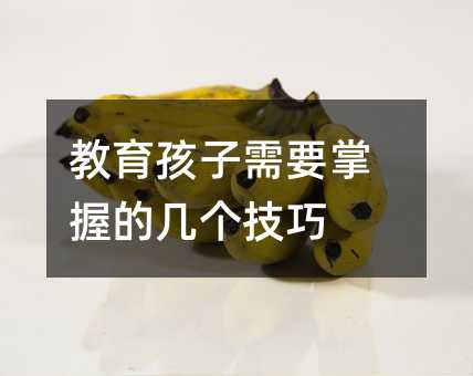 教育孩子需要掌握的幾個技巧