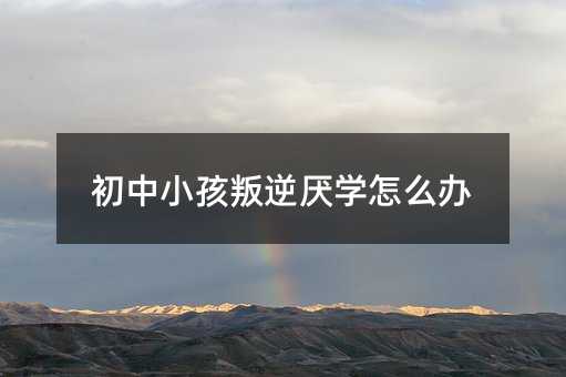 初中小孩叛逆厭學怎么辦