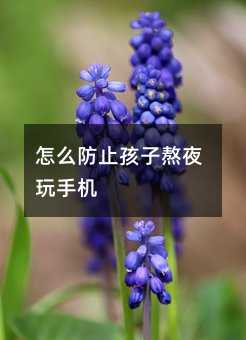 怎么防止孩子熬夜玩手機(jī)