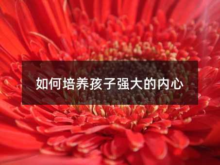 ������B(y��ng)���ӏ���ă�(n��i)��