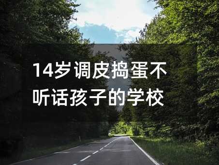 14歲調皮搗蛋不聽話孩子的學校