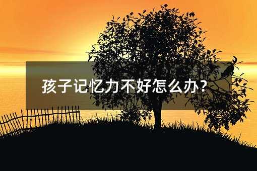 孩子記憶力不好怎么辦?