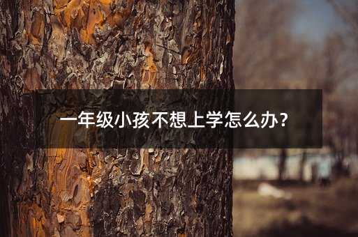 一年級小孩不想上學(xué)怎么辦?