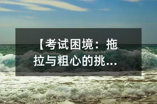 【考試困境:拖拉與粗心的挑戰】