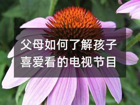 ��ĸ����˽⺢��ϲ�ۿ����ҕ��Ŀ